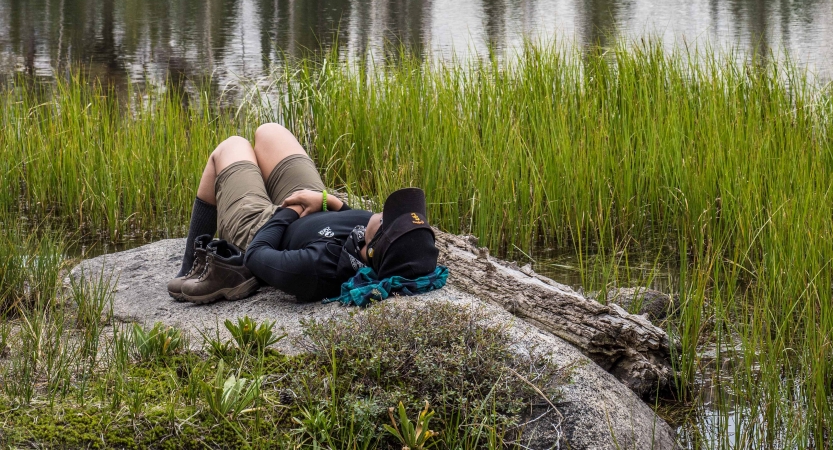 A person lies on a rock in a grassy area with a body of water nearby